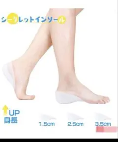 Item thumbnail for item da62edf1-a1ee-4cc1-b03b-b71074d6832e