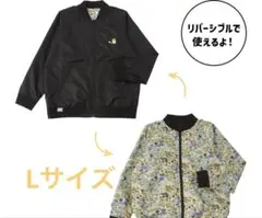 Item thumbnail for item 32179ba3-726d-4f88-88cc-5dc7fc2f8cb4