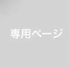 専用ページ