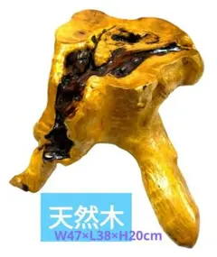 Item thumbnail for item 48b16de3-ceec-4785-8f67-a9e220e9e084