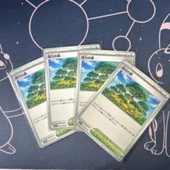 ポケモンカード　活力の森　４枚