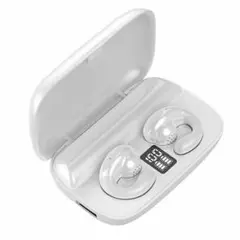 Item thumbnail for item 8936d870-137f-471f-84b3-5db8bc650d50
