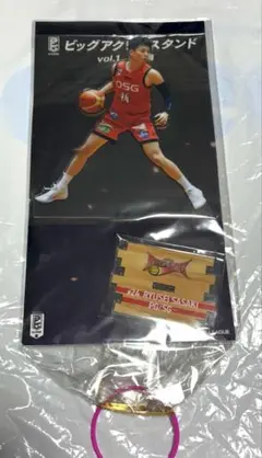 B.LEAGUE ビッグアクリルスタンド　三遠ネオフェニックス　佐々木隆成