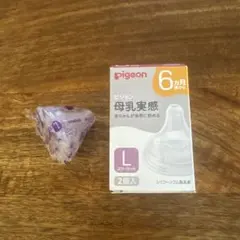 Pigeon 母乳実感　Lサイズ 1個入