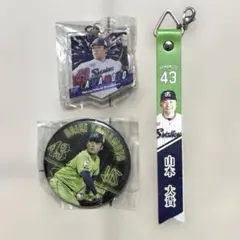 ヤクルトスワローズ　山本大貴選手　マッチデーボンフィン　缶バッジ　キーホルダー