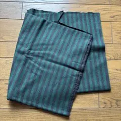 緑と黒のストライプ　75✖️316