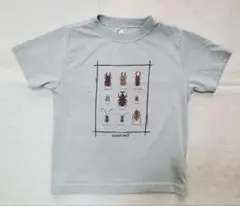 Item thumbnail for item 7b62d931-4c59-4fd8-96eb-5b11c8805ab0