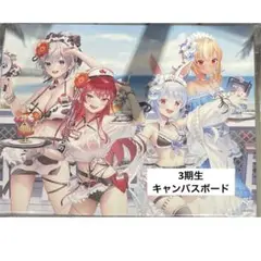 3期生　キャンバスボード　ホロナツパラダイス　ホロライブ　渋谷TSUTAYA