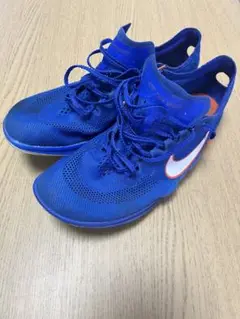 Nike Dragon fly ナイキ ドラゴンフライ 25.5cm
