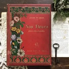 超希少!1800年代 赤い装丁が美しいフランスのアンティーク植物図鑑