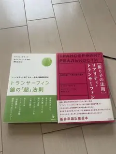 トランサーフィン鏡の「超」法則 ヴァジムゼランド トランサーフィン鏡の「超」法則 リンゴが空へと落下する――奇跡