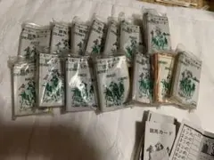 昭和レトロ　競馬カードセット 複数パック30枚入り✖︎15袋　ダービーレースカード