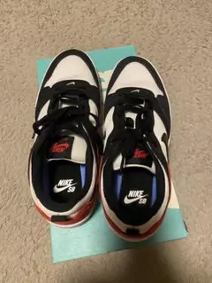 NIKE SB ALLEYOOP ナイキスニーカー　サイズ25センチ