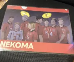 ⭐︎非売品⭐︎ ハイキュー　ハイフラ　クリアファイル　音駒