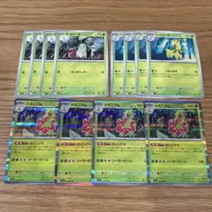 メガニウム　おいしげる　進化ライン　各4枚