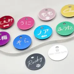 Item thumbnail for item 6b8a5f95-6bc6-4065-b7db-f08edd3aa0f1