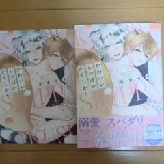 かわいいしっぽのかくしかた　アニメイト限定リーフレット付き