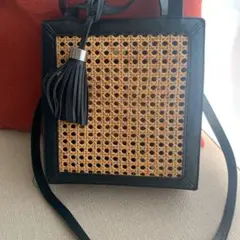ZARAカゴパック