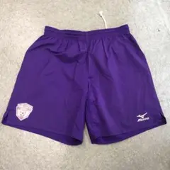 SC119 Mizuno 紫色 ハーフパンツ サイズ160