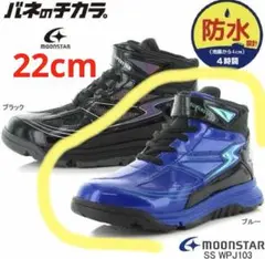 Item thumbnail for item 43a1e94b-9c62-4161-9d84-fe1063389f38