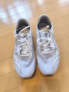 Mizuno Wave Rebellion Flash 2 27.5 wide