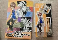 家庭教師ヒットマンREBORNアクリルフィギュア＆チャームコレクション 沢田綱吉
