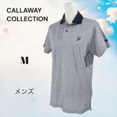 Item thumbnail for item afecde13-fec8-463d-a78b-7d7c17c623ec