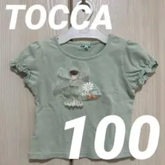 【美品】TOCCA トッカ 半袖Tシャツ トップス