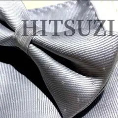 Item thumbnail for item ffa67ea1-346f-49de-8daf-007caf044741