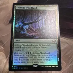 Item thumbnail for item 202f0f75-d7a2-4e3c-95a2-391c461499c9