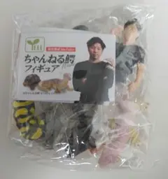 ⑅ちゃんねる鰐さんTシャツ&ステッカーSET⑅ ⑅ちゃんねる鰐さんTシャツ&ステッカーSET⑅ - メルカリ