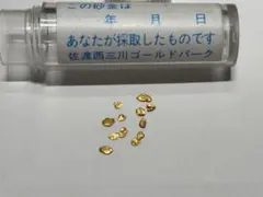 超大粒！10粒　佐渡金山　砂金　ゴールドパーク…大幅値引き中 m61471276712_1.jpg?1745758860
