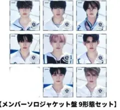 &team 青嵐 ソロジャケット 8枚セット