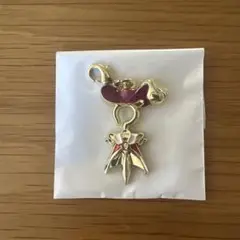 ディズニーストア 短剣 ヴィランズ シークレットチャーム フック船長