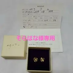 アガット ピアス