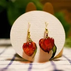 【アクセサリー】オレンジ 鬼灯 ピアス