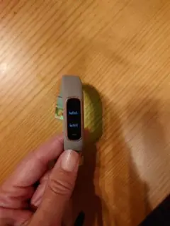 GARMIN Vivosmart4 ガーミン