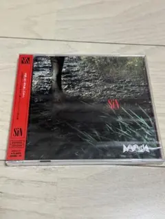 未開封ヴィジュアル系CD MoNoLith SiN