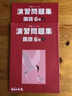 演習問題集 国語 6年 学習シリーズ