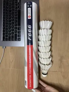 KIZUNA F666 練習球 バドミントンシャトル キズナ　8個