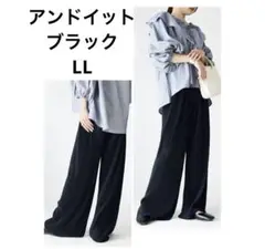 アンドイット　プリーツパンツ　ワイドパンツ　ブラック　LL