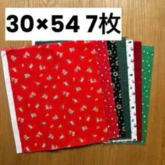 LECIEN ルシアン クリスマス柄 綿 生地セット 30×54cm 7枚