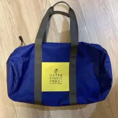 パパイヤ式セイハダンスアカデミー　ボストンバック