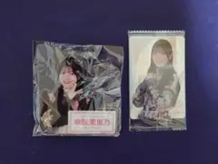 Item thumbnail for item 1406cc59-b9ee-40ab-8768-34f8a863e44d