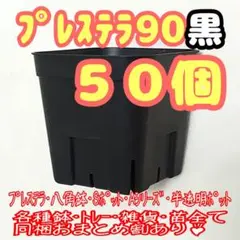 【スリット鉢】プレステラ90黒50個 多肉植物 プラ鉢1w