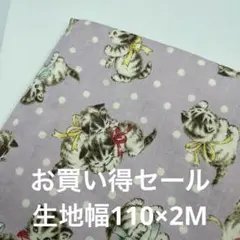 数量限定セール　キルトゲイト　プリティキャット2M