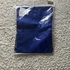 umbro ブルーバッグ 約34 x 46cm