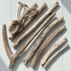 Item thumbnail for item 71f241a2-b837-453e-a118-509fac888fbd