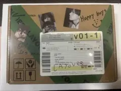 BTSキム・テヒョン LAYOVER ボックスセット