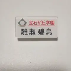 オンエア 雛瀬碧鳥 トレーディングネームバッジ アクリルバッジ